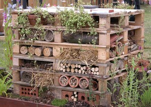 Image for Engineer a bee hotel