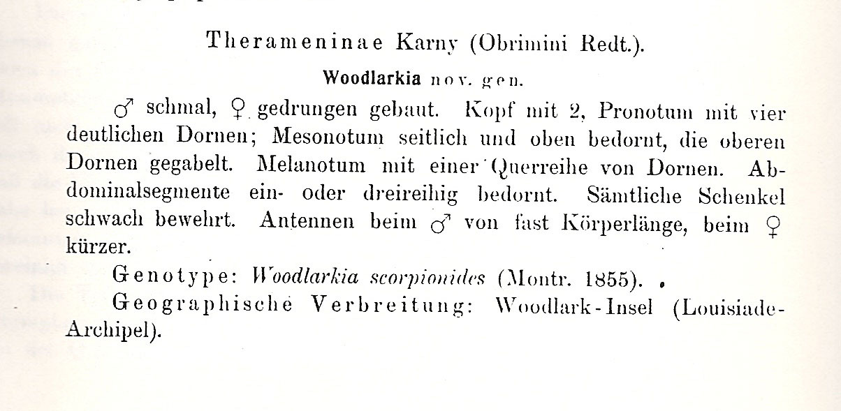 Woodlarkia Günther, 1932: Günther, 1932. original description. (Otu).