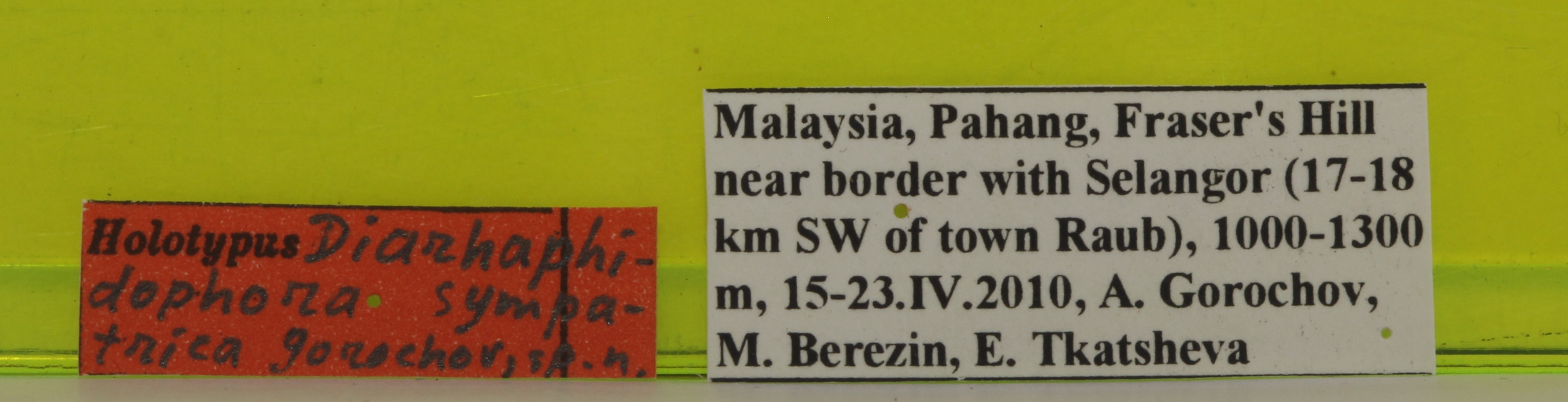 CollectionObject 1565389; f979c45a-6910-4a0e-90d6-36a6c301d586: labels (holotype). (CollectionObject).