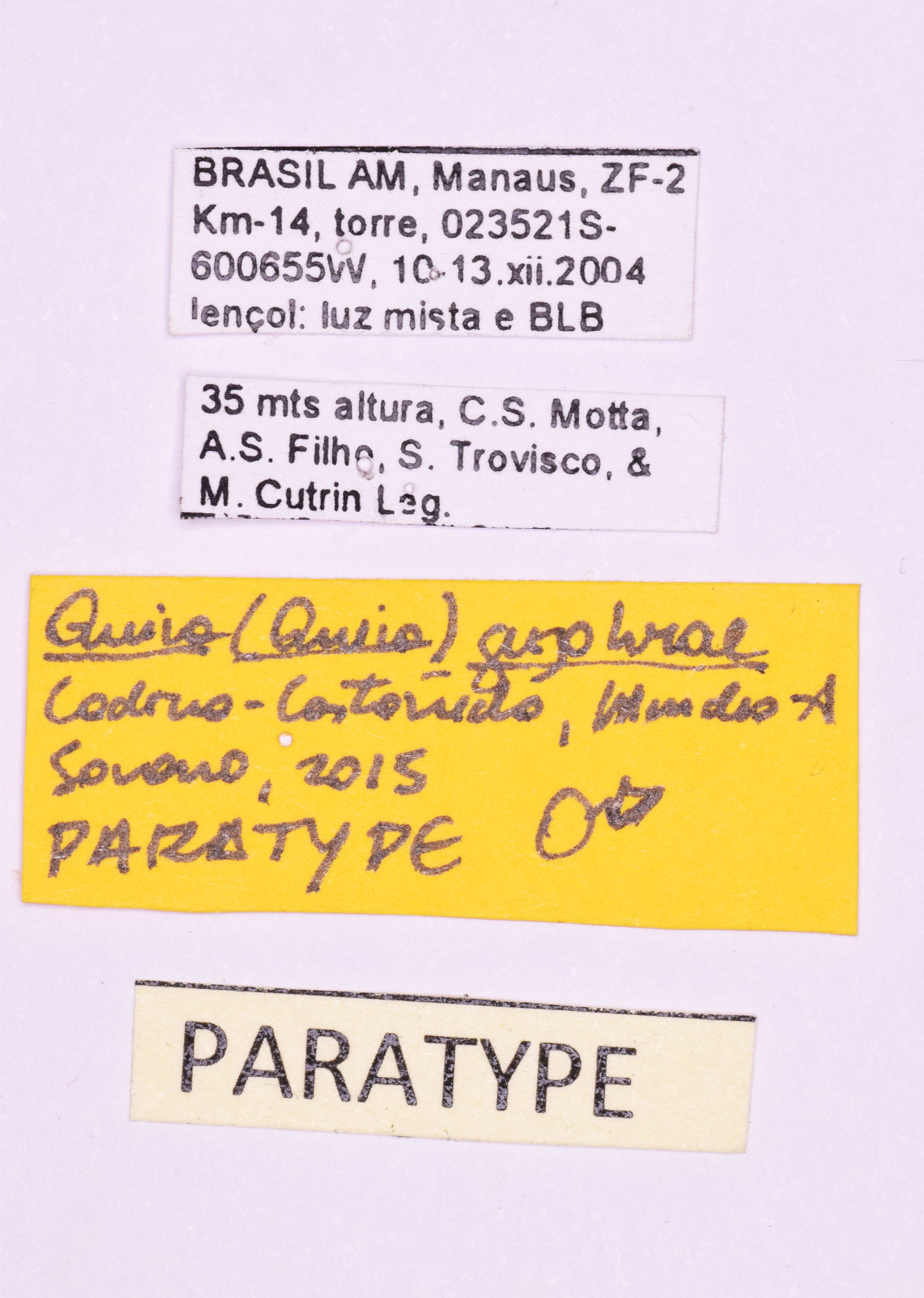 CollectionObject 1583376; 9306ae43-324f-44d0-9159-b3d6bfb34bfa: (CollectionObject).