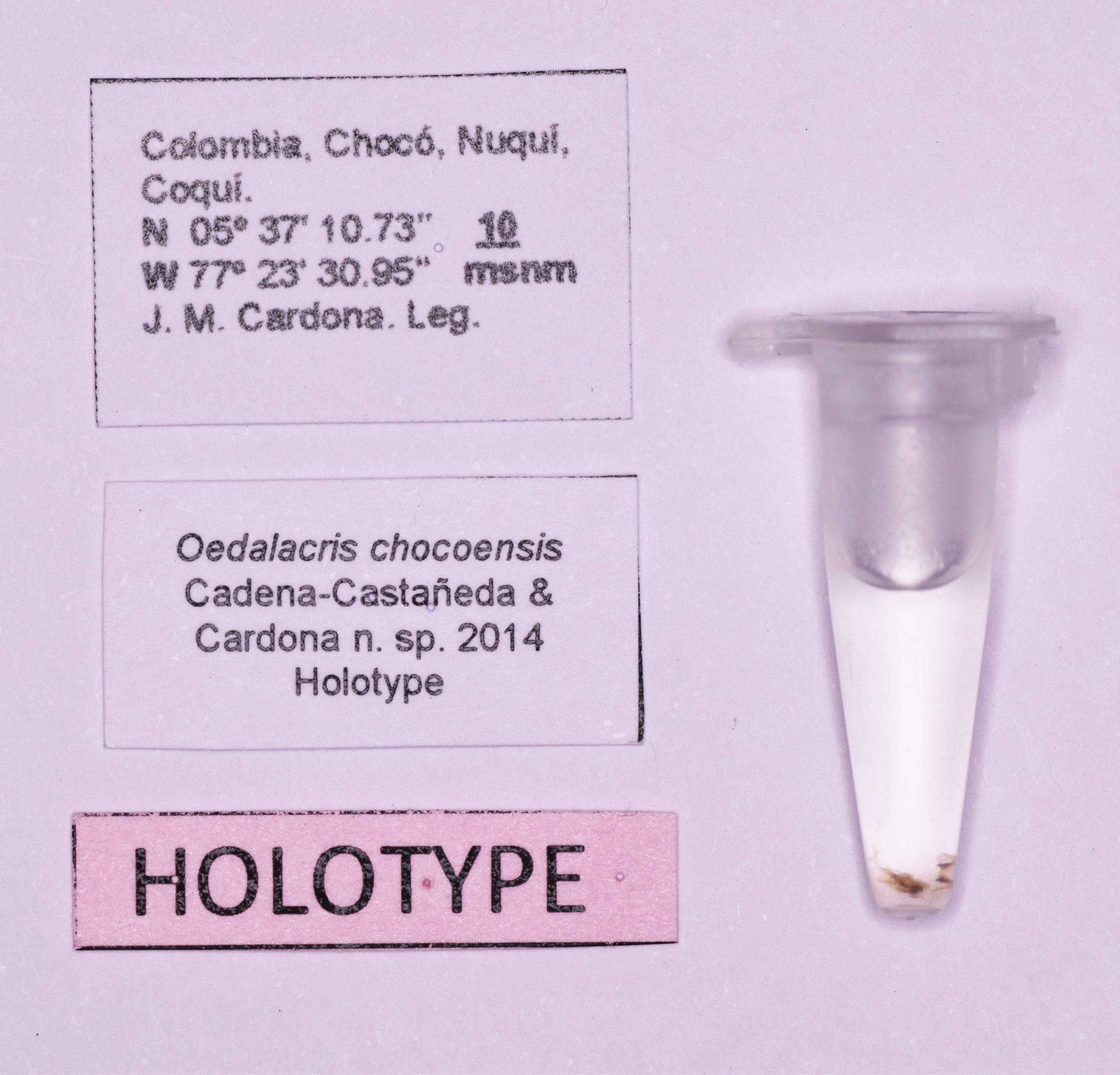 CollectionObject 1572199; eb648f0f-2c6f-43f5-85ab-5bb112a2c1b0: labels (holotype). (CollectionObject).