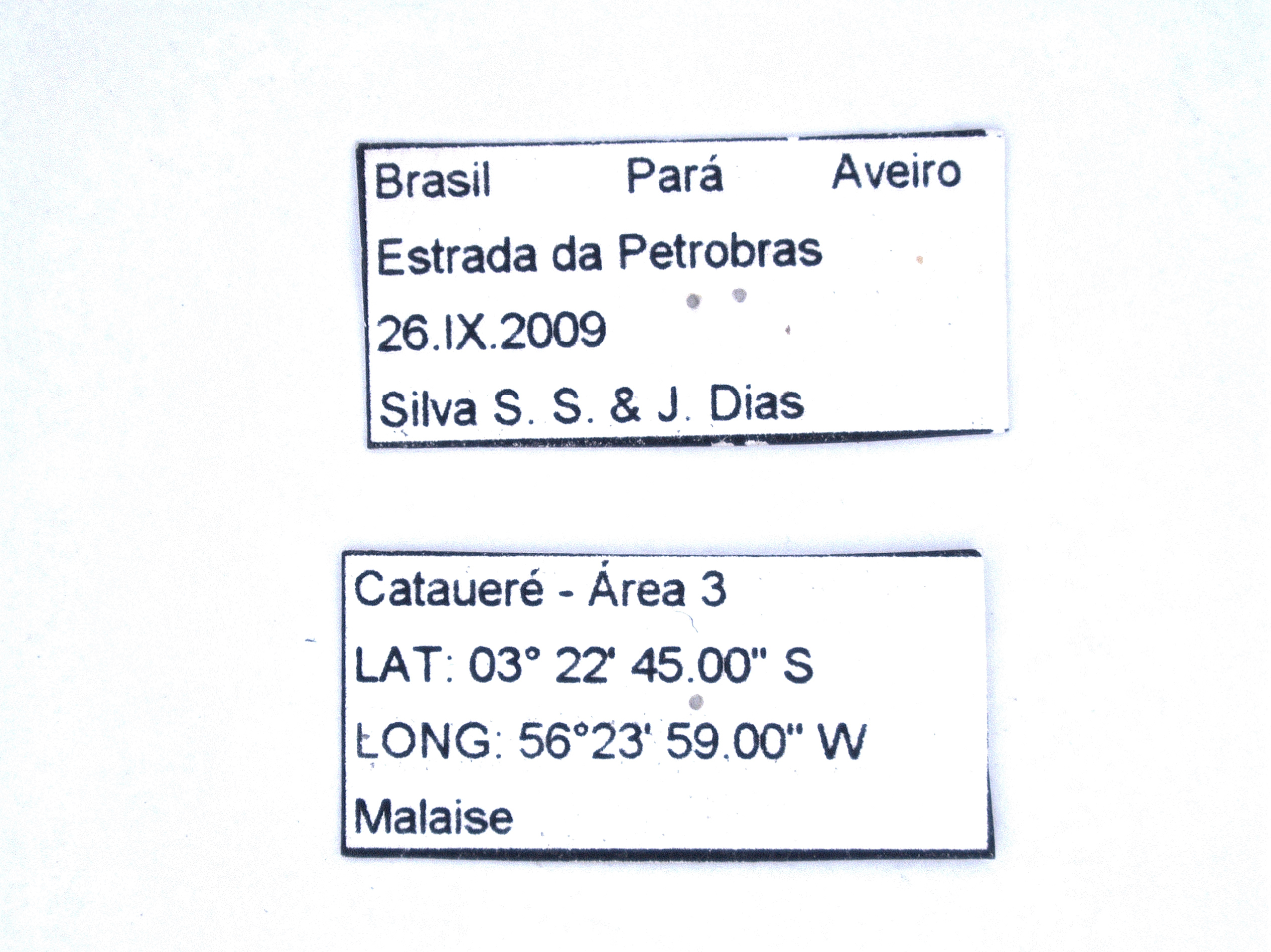 CollectionObject 1590425; 9531c51c-3f29-4cd2-9eb3-53287efb6dc0, MPEGMPEG ORT 16017606: labels (holotype). (CollectionObject).