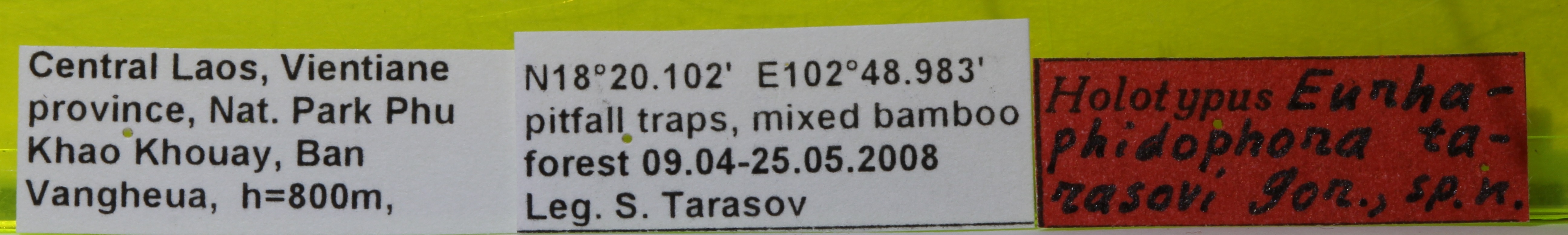 CollectionObject 1575863; 7a640700-cfdb-41f9-aaea-60f90fd6a8fa: labels (holotype). (CollectionObject).