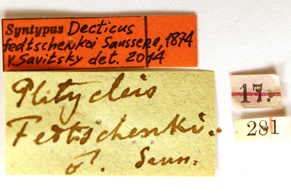 CollectionObject 1534165; 0def1a3c-8713-4514-8581-a1c7cd520302: labels (syntype). (CollectionObject).