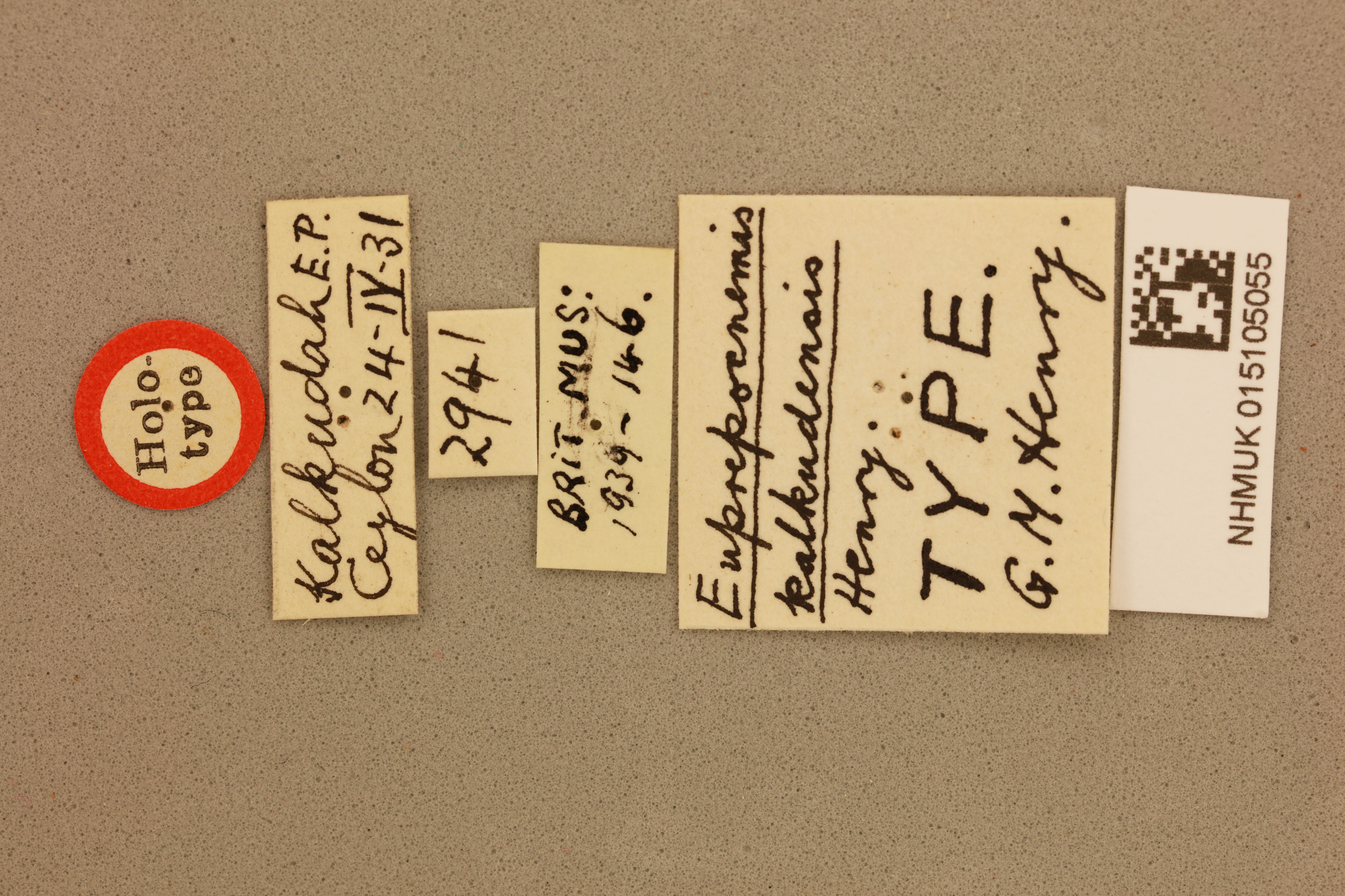 CollectionObject 1519076; 0e2bd3ec-a691-4f5c-830f-72aa30a1462b: labels (holotype). (CollectionObject).
