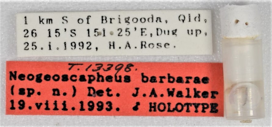 CollectionObject 1618735; 306c0950-779d-4f75-97d1-b0a3a47d4d77: (CollectionObject).