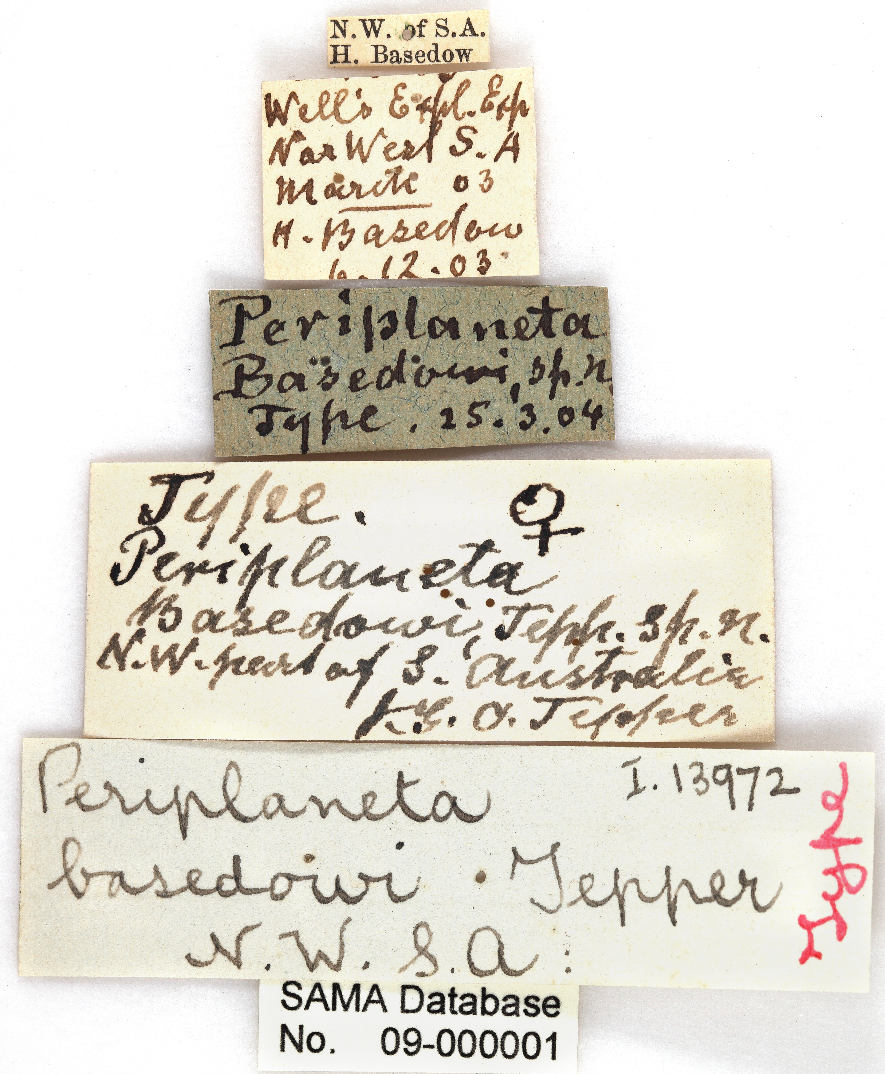 CollectionObject 1848716; 4537ef9e-7c60-4e5c-ab44-597ef26972c6: (CollectionObject).