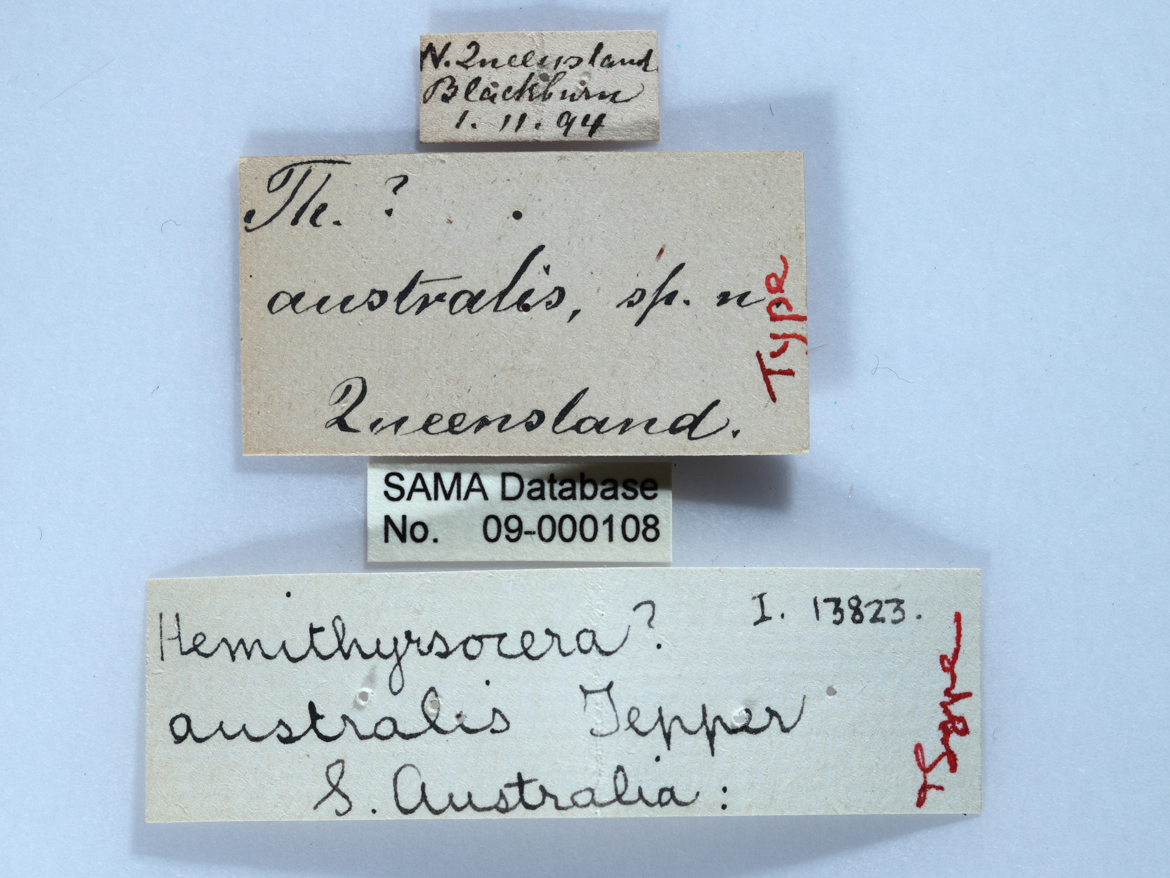 CollectionObject 1863648; 13227b6d-46fc-4f3e-8de0-1d07f44bb2cf: (CollectionObject).