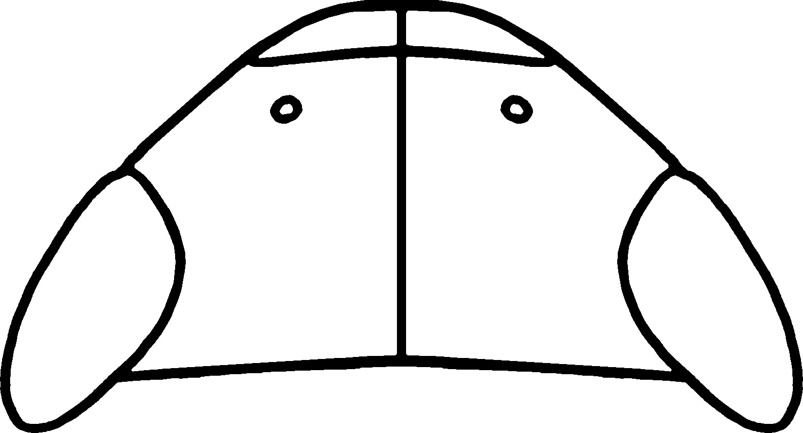 Nymph: (Observation).