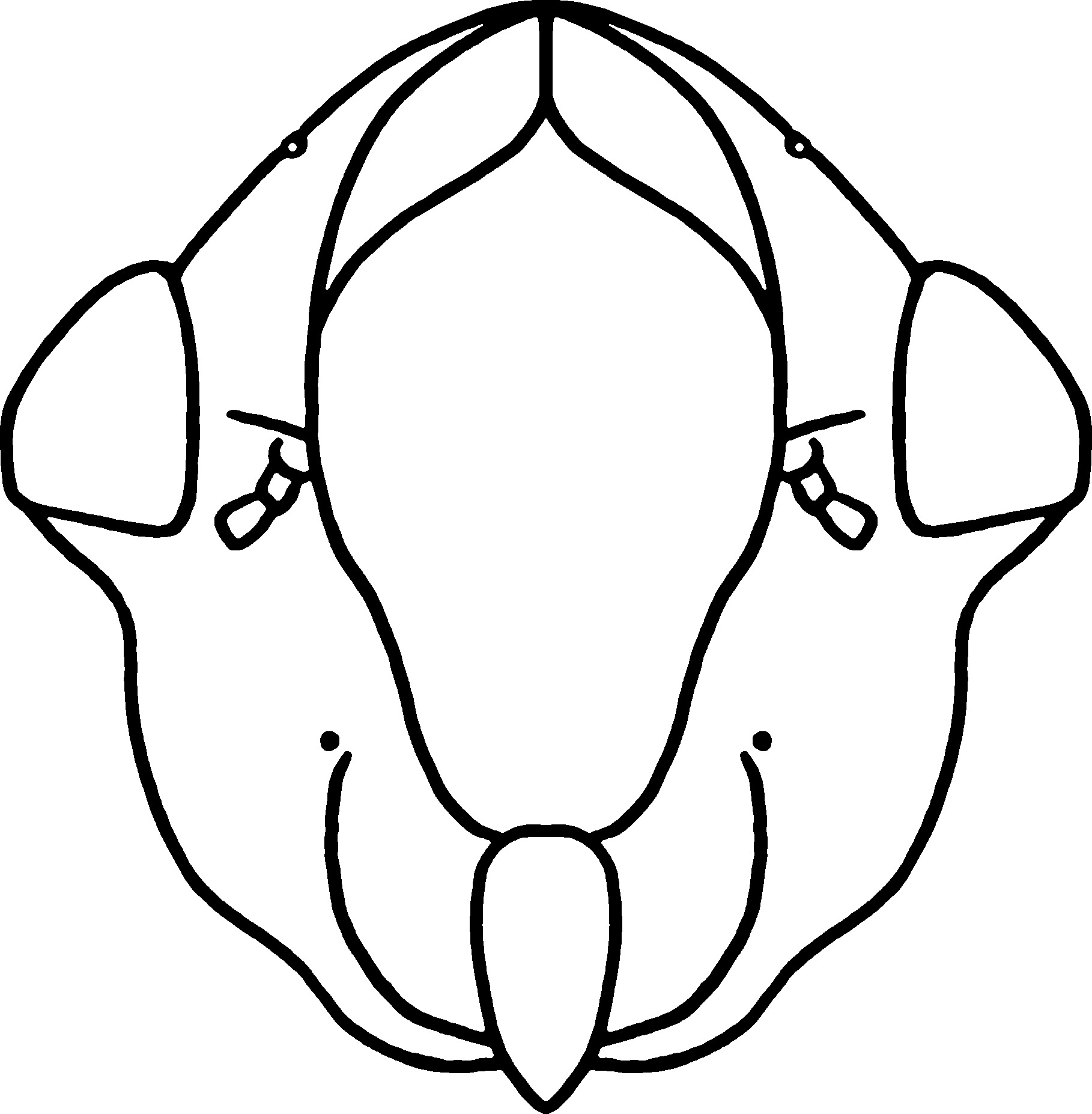 Nymph: (Observation).