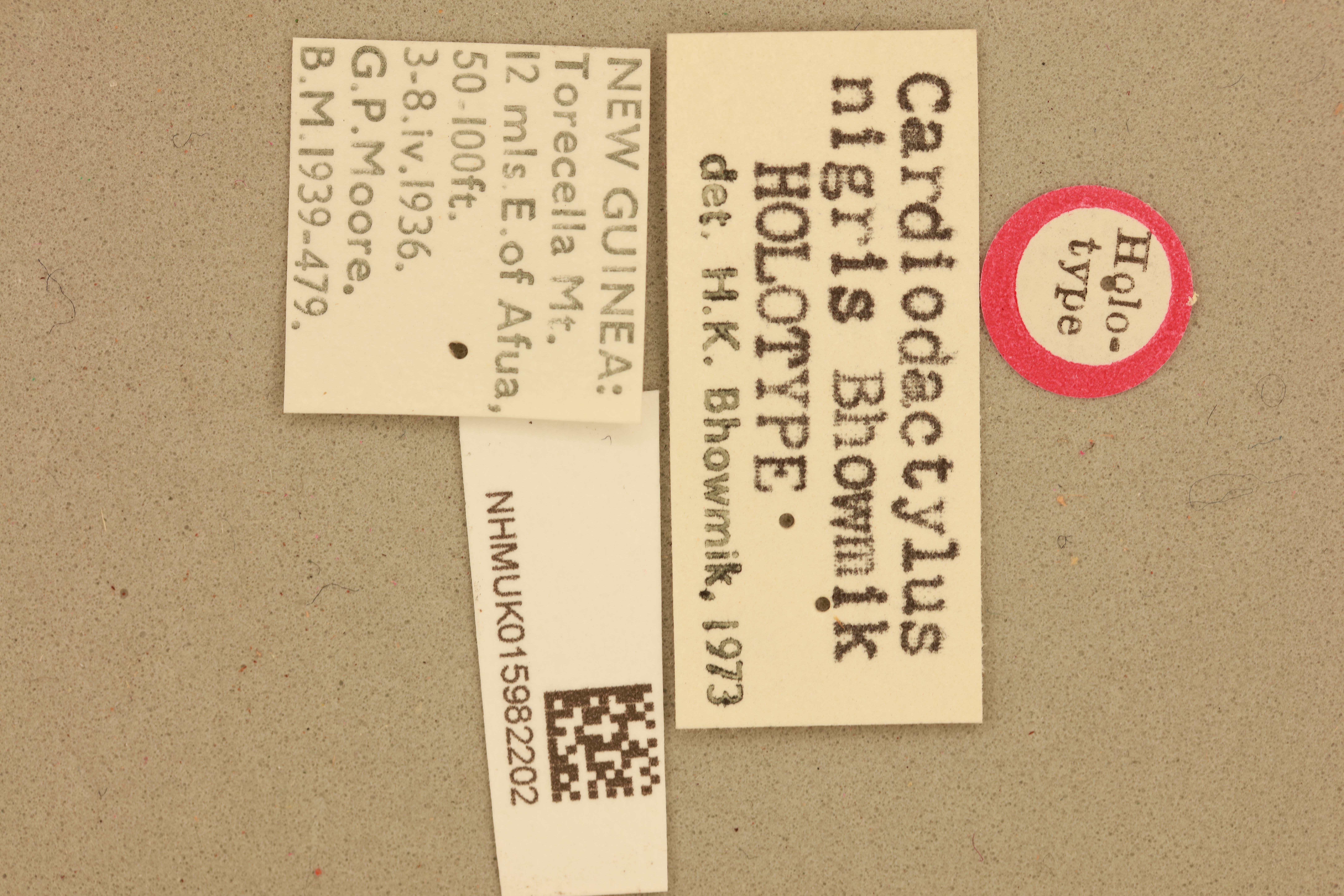 CollectionObject 1517828; 15d68d05-a9d6-41b7-bc97-774abfee3ff7, NHMUK015982202: labels (holotype). (CollectionObject).