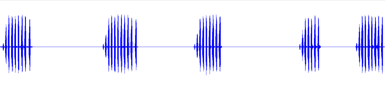 Aglaothorax amathitis Cole, Weissman & Lightfoot, 2025: Aglaothorax amathitis calling song PARATYPE USA, CA: Los Angeles Co. 24.5ºC JCR08KH01 [amathitis_TL_08KH1_24.5C_10s]. (Otu).
