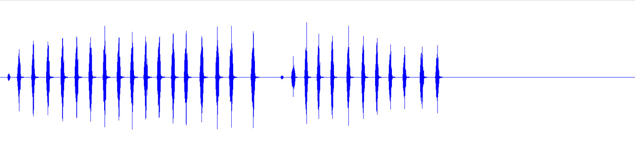 Aglaothorax hulodomus Cole, Weissman & Lightfoot, 2025: calling song TOPOTYPE USA. CA: San Bernardino Co. 22.8ºC JCR130731_02. (Otu).