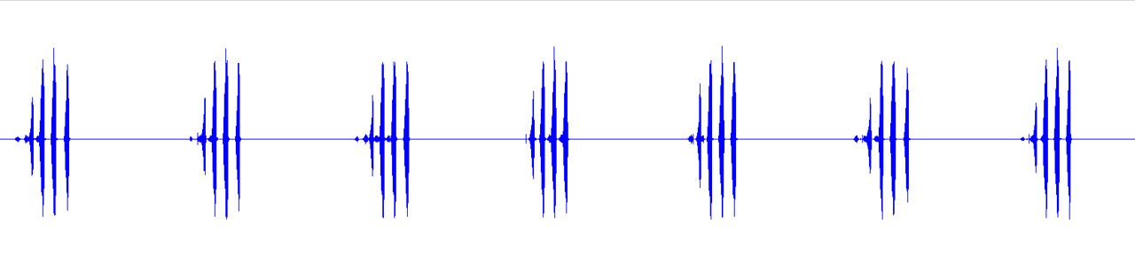 Aglaothorax khioneos Cole, Weissman & Lightfoot, 2025: calling song PARATYPE USA. CA: Inyo Co. 25.0ºC JAC05GV2-06. (Otu).