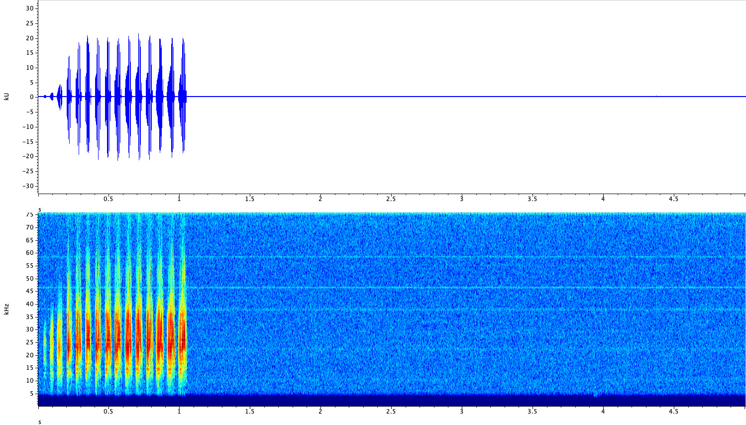 Aglaothorax morsei (Caudell, 1907): Above: Calling song of A. morsei, Los Angeles County, California, 5 s window showing one echeme consisting of 15 pulse trains; Below: spectrogram of echeme's above ultrasonic frequencies beyond human hearing range lie above white dashed line, warmer colors indicate higher sound energy, most of which is ultrasonic. (Otu).
