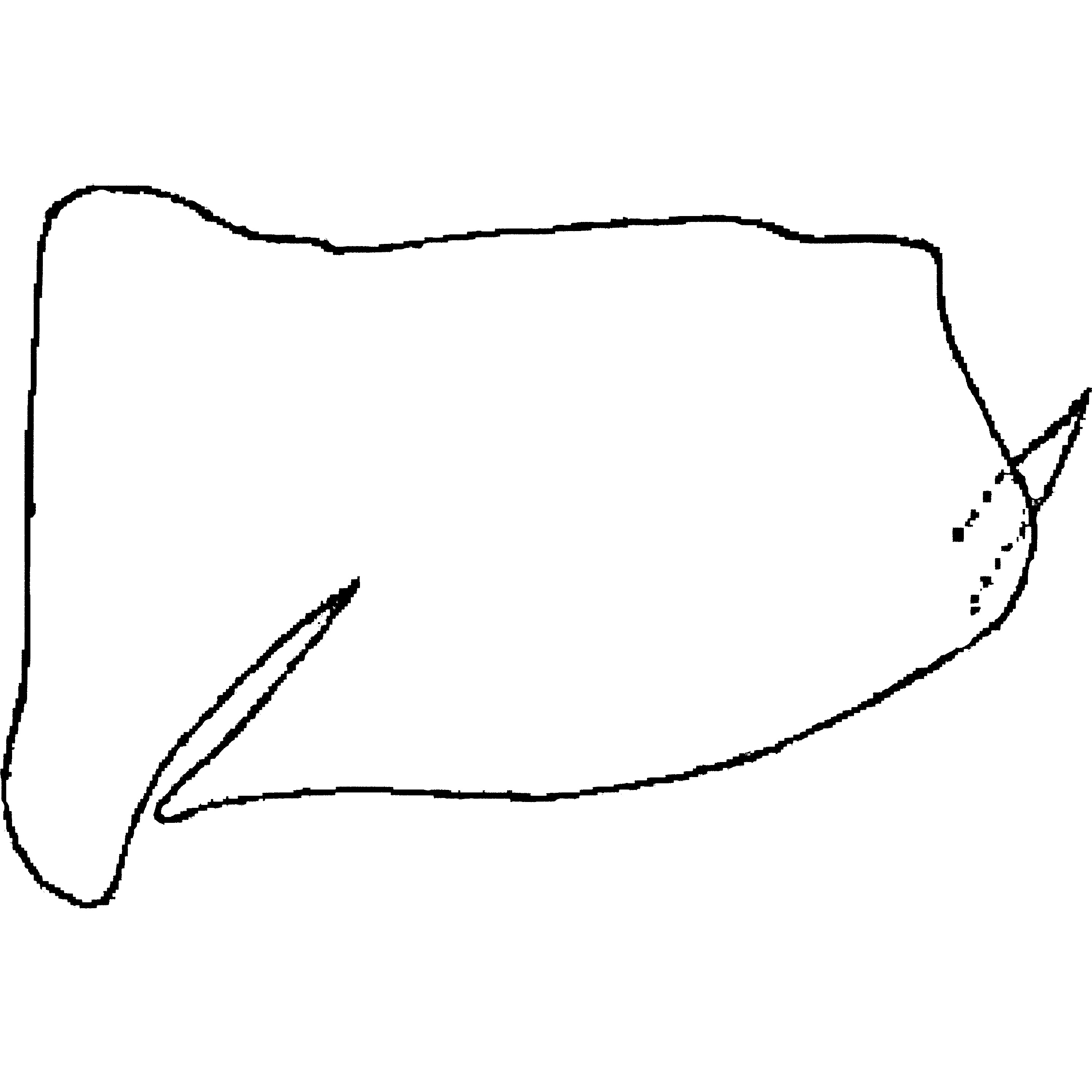 Pygofer, lateral view: Pygofer, lateral view. (Observation).
