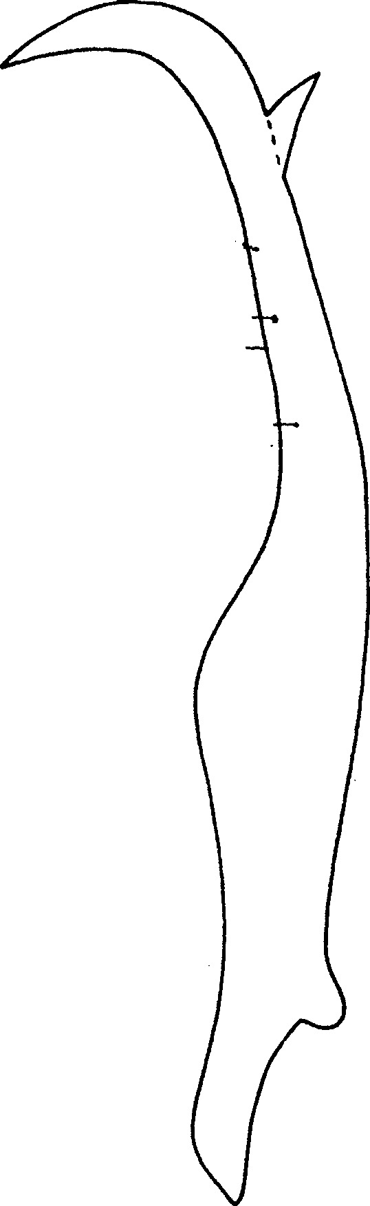 Stylus: !! display not done !! on Baaora ahmedi Dmitriev & McKamey, 2013: Stylus. (Observation).