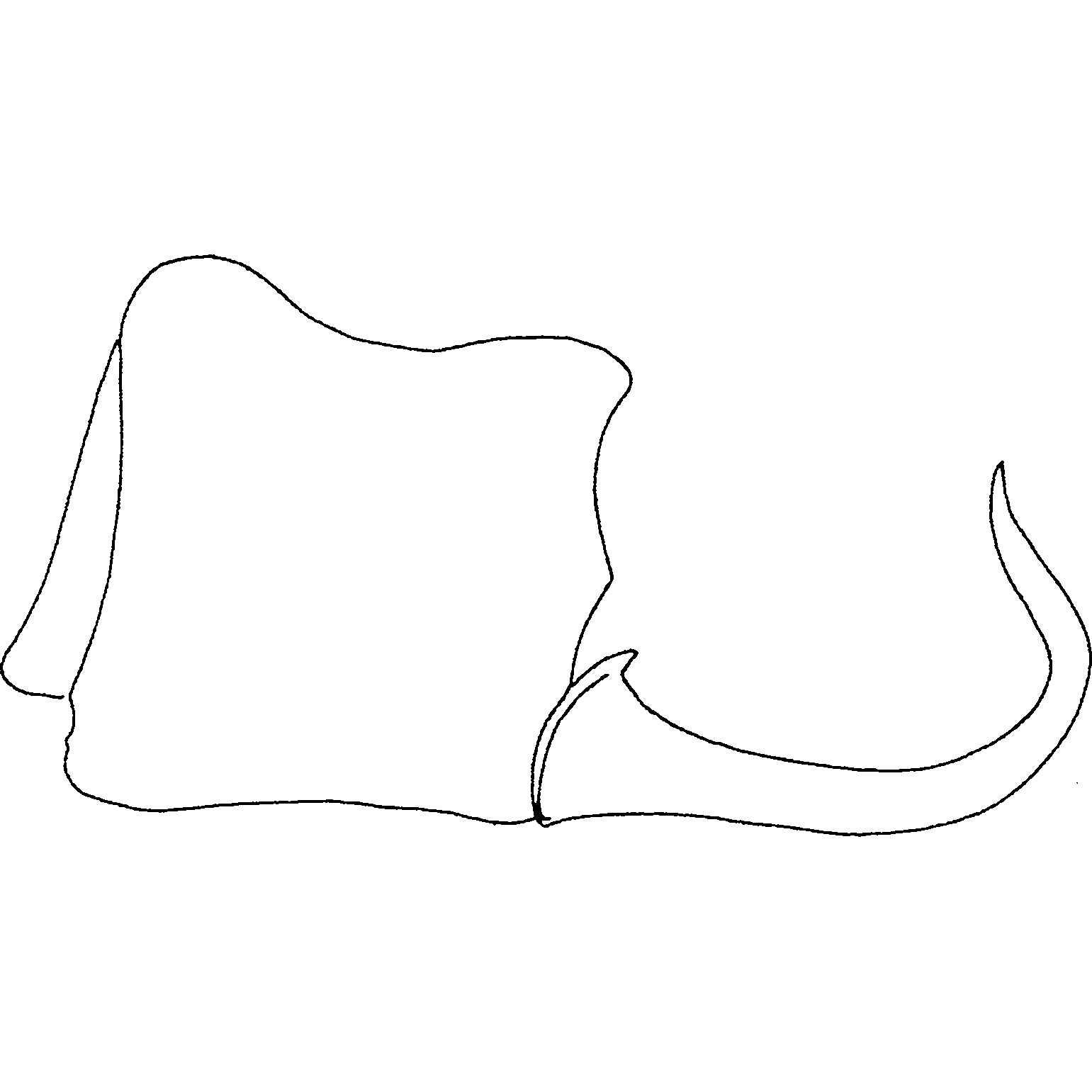 Pygofer, lateral view: !! display not done !! on Thaia (Thaia) lincanga Song & Li, 2014: (Observation).