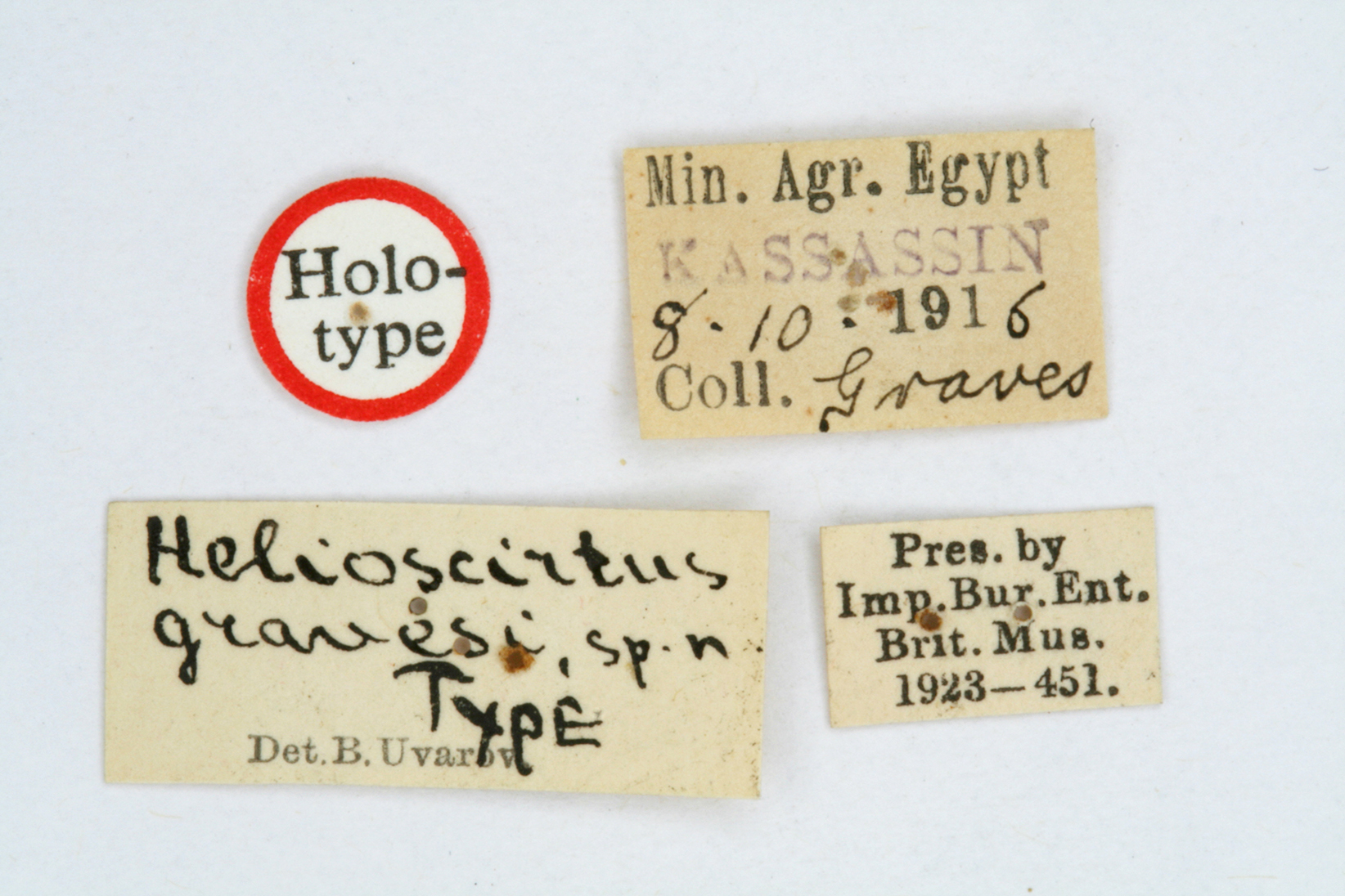 CollectionObject 1519508; 8f7bf1d8-7bbe-4776-a81b-79c43d828f8c: labels (holotype). (CollectionObject).