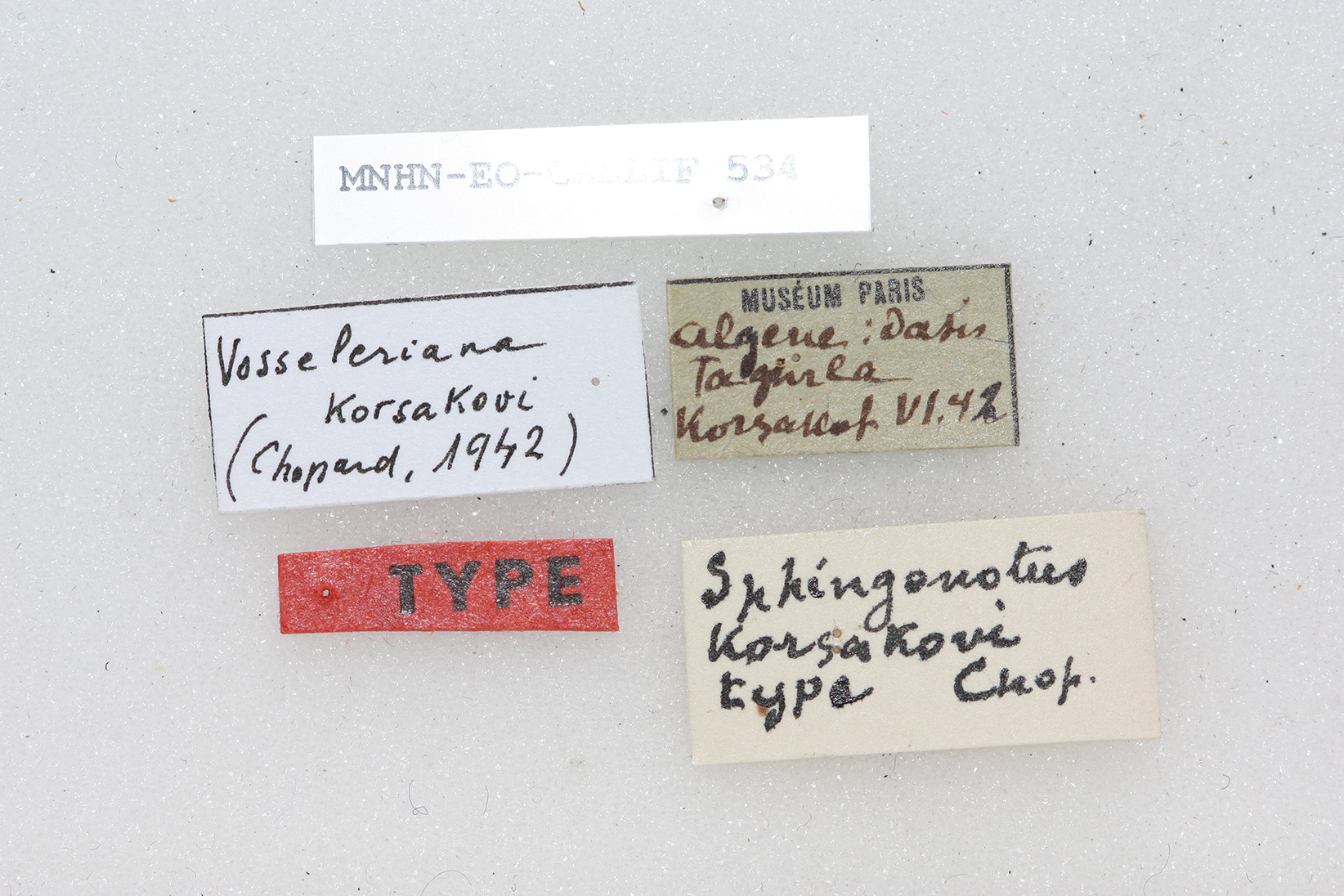 CollectionObject 1541146; 8305ffb4-bfa6-414a-9854-f01442b7b47b: labels (type). (CollectionObject).