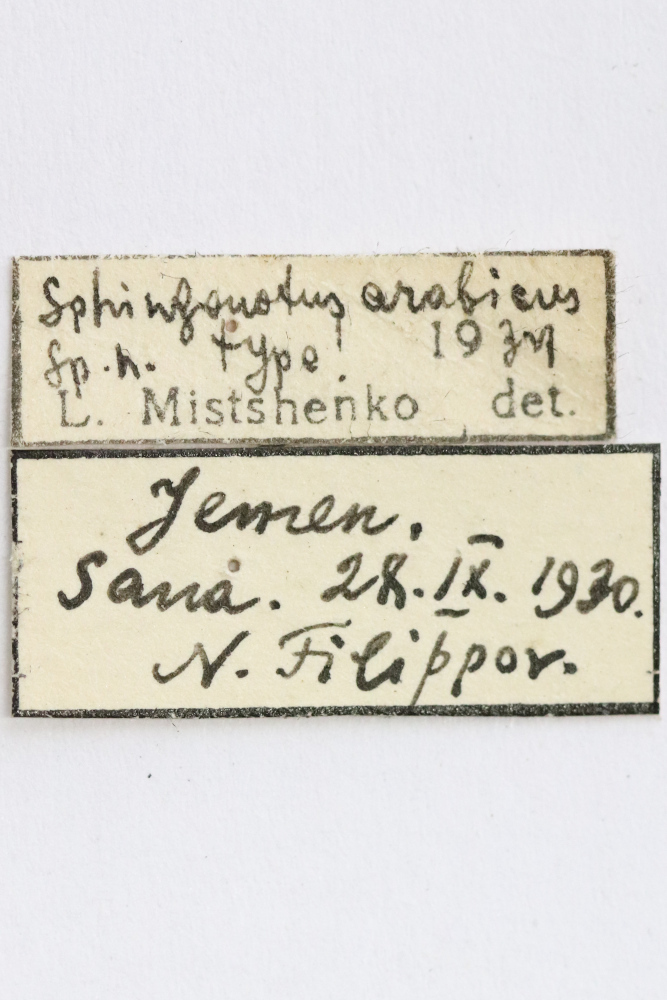 CollectionObject 1528931; 28dff7e8-918f-4e62-9e81-64a291ddd621: labels (holotype). (CollectionObject).