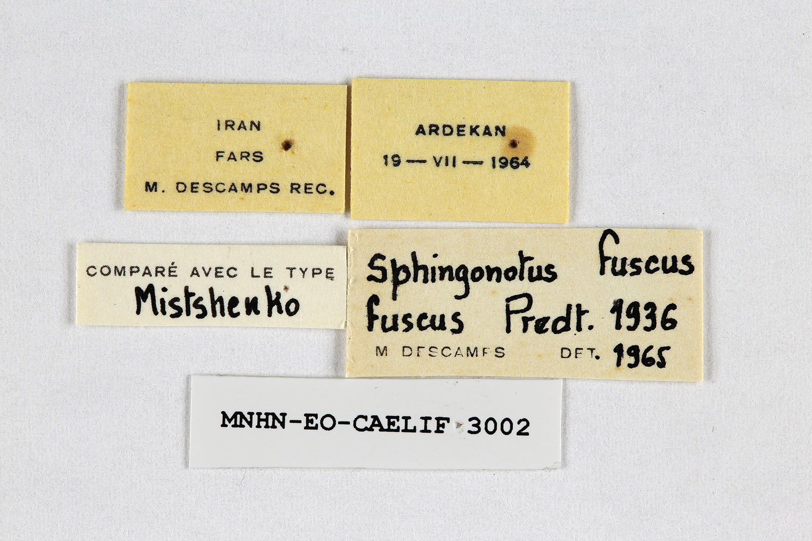 CollectionObject 1581182; 646c99bc-78f1-45dd-a83b-2df9e274bac0: labels. (CollectionObject).