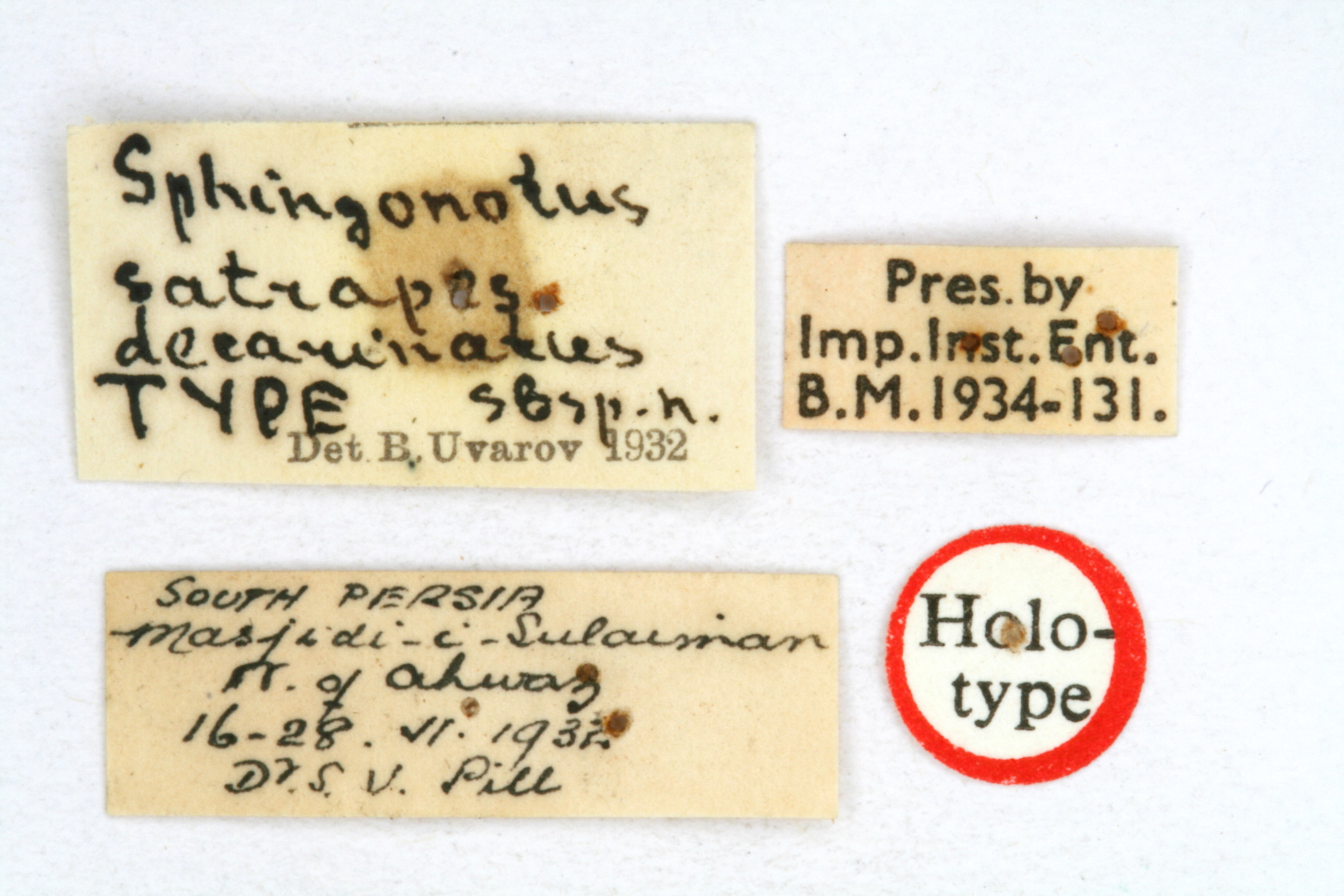 CollectionObject 1528677; 431c9485-4f57-4e2b-bebb-cb760ff30318: labels (holotype). (CollectionObject).