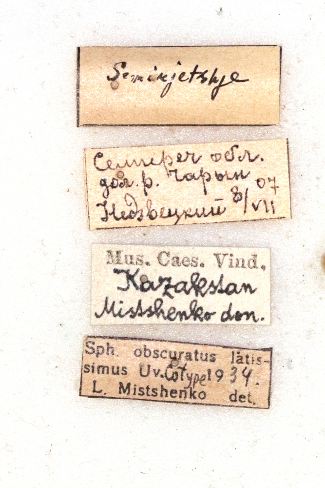 CollectionObject 1590321; 4cbac706-ea50-490b-8083-4066b1661d16: labels. (CollectionObject).