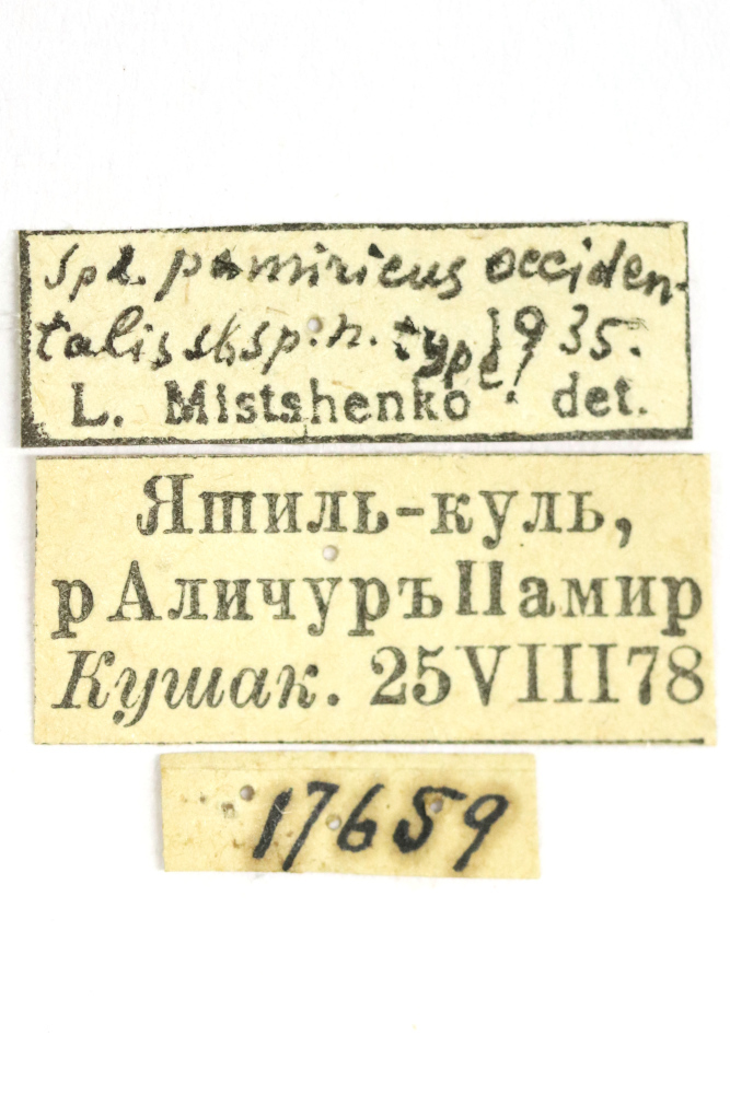 CollectionObject 1528681; f9767e27-79d6-4932-b640-080bb58602d7: labels (holotype). (CollectionObject).