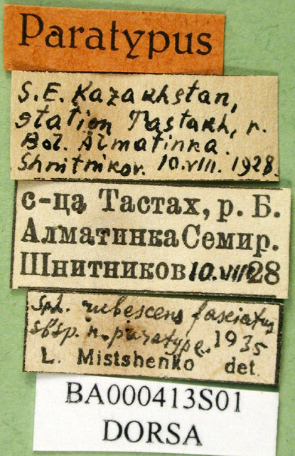 CollectionObject 1502009; 1a799617-0770-4f1f-bb46-684172b01fa6: labels (paratype). (CollectionObject).