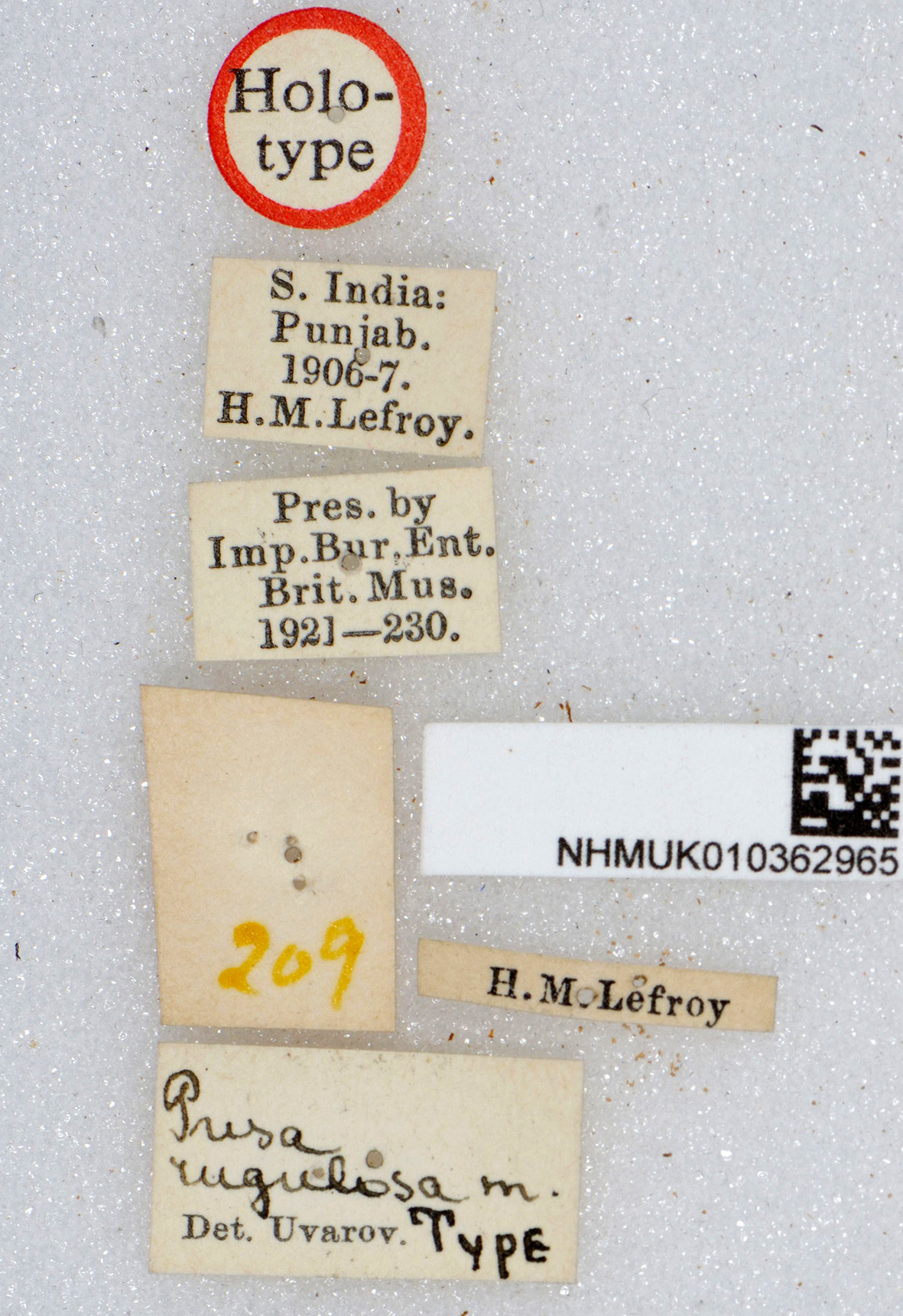 CollectionObject 1519397; 968a8d36-9487-41da-a938-0dd1b0e354ad: labels (holotype). (CollectionObject).