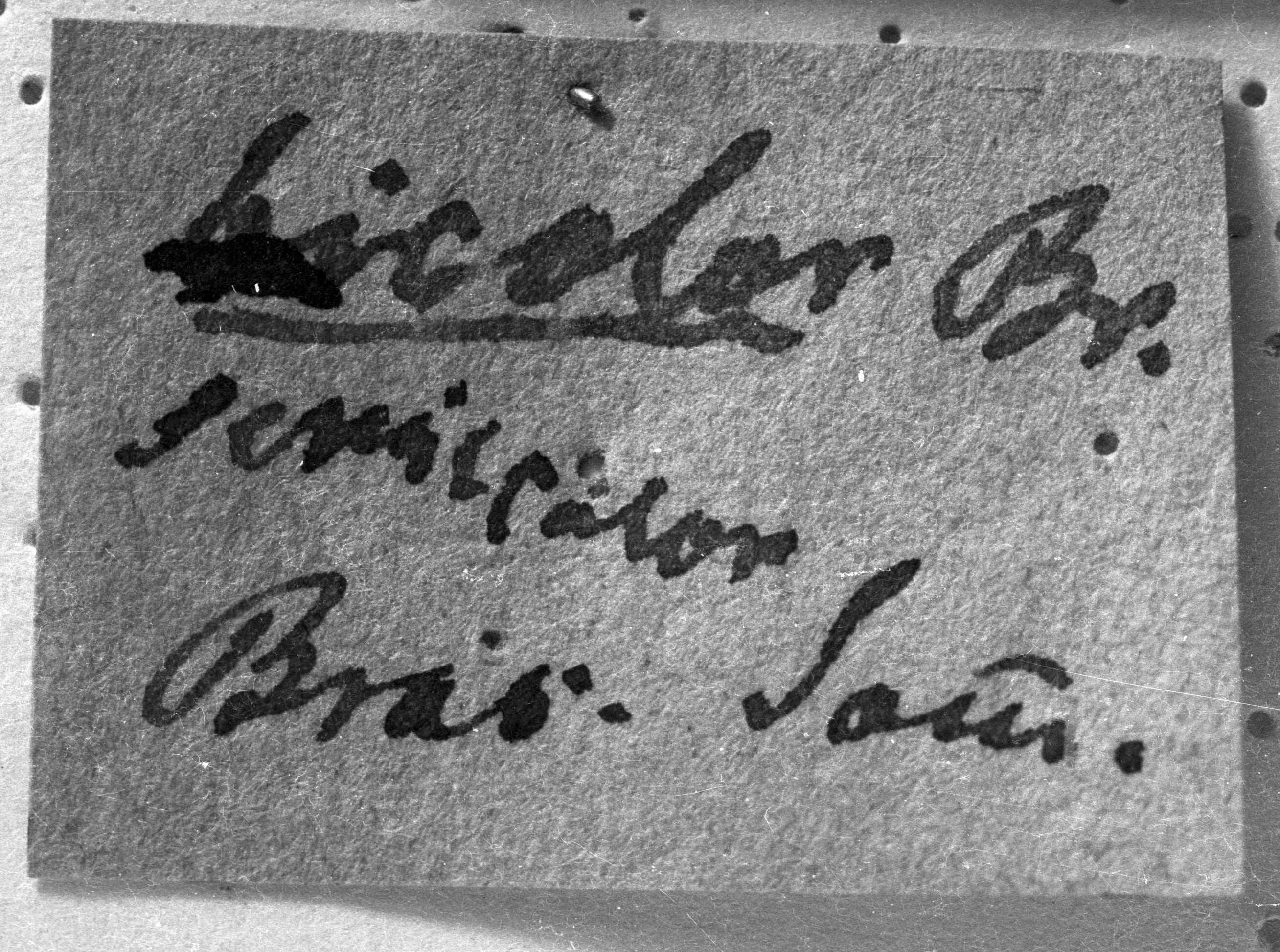 CollectionObject 1538323; 1e2a2471-5bb5-408c-a1b1-de5cf0a660c0: Image Carbonell, C.S. label (holotype?). (CollectionObject).