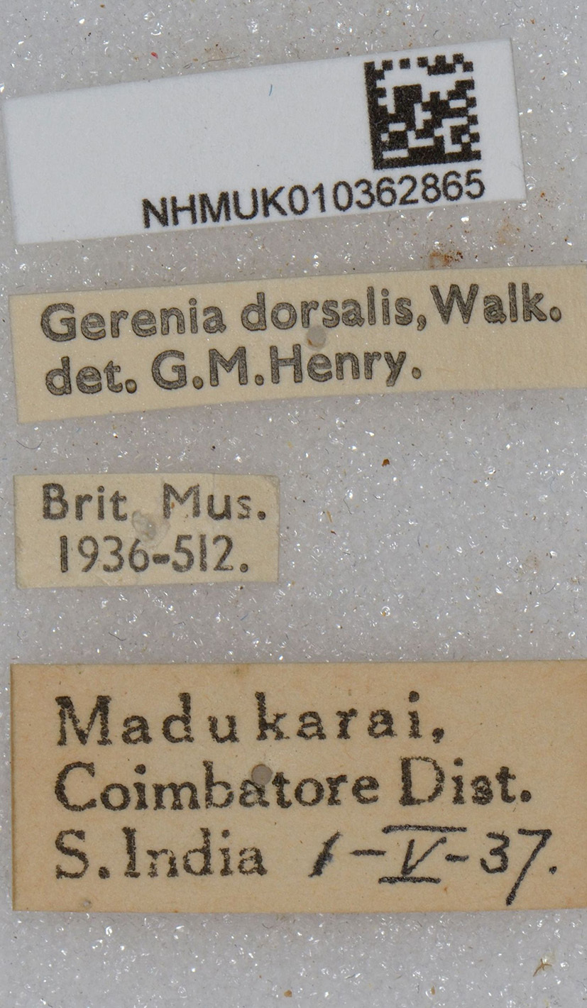 CollectionObject 1578673; eac21f87-a029-47fe-aa4a-110d7e6199cc, NHMUK010362865: labels. (CollectionObject).