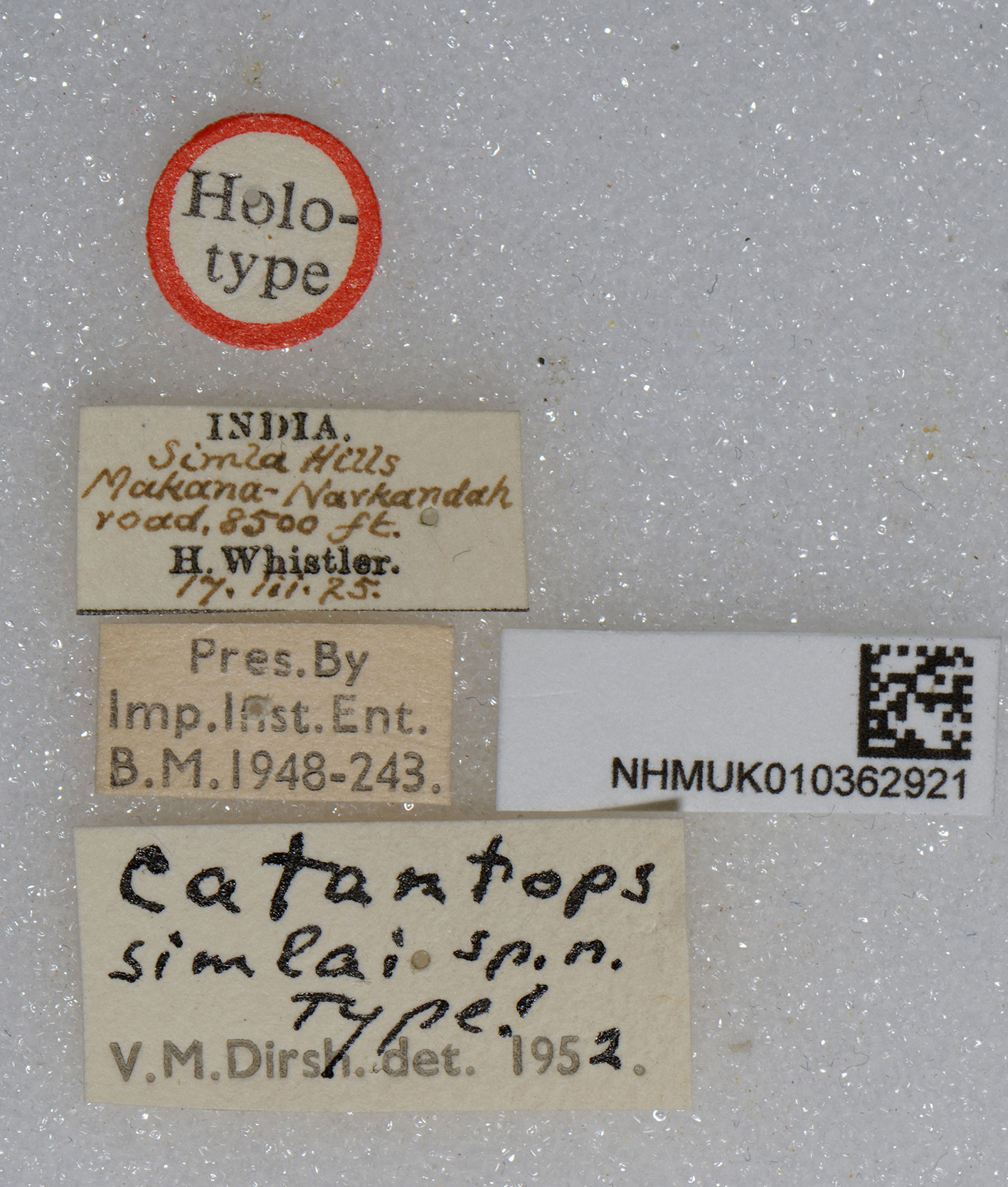 CollectionObject 1518838; 3d7749fb-02e2-46fa-a54c-8ef5e246d83d: labels (holotype). (CollectionObject).