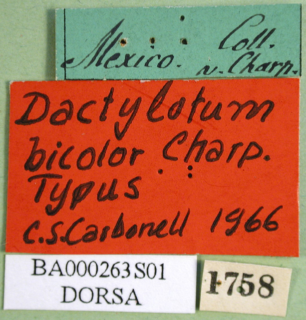 CollectionObject 1501256; 29cbd1cf-7dfe-4bed-b574-5f2af39c7a29: labels (holotype). (CollectionObject).