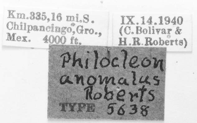 CollectionObject 1524328; ef5e1ca9-ac30-4850-92e5-969a8adf983b: labels (holotype). (CollectionObject).