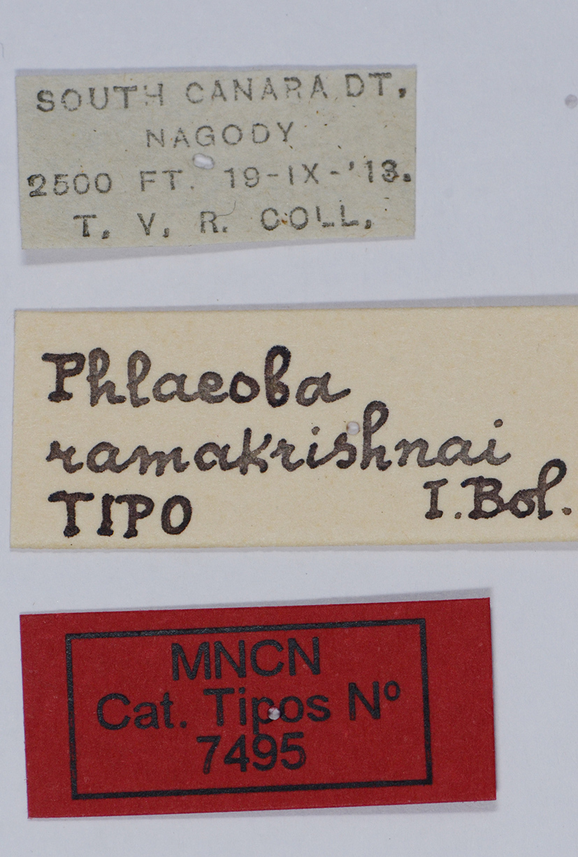 CollectionObject 1535705; 4539c34b-e42d-4871-aaa6-9fb13c037933: labels (holotype). (CollectionObject).