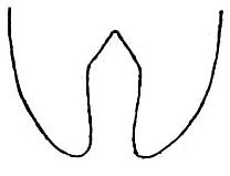 Schistocerca alutacea (Harris, 1841): Fig. 60. male subgenital plate. (Otu).