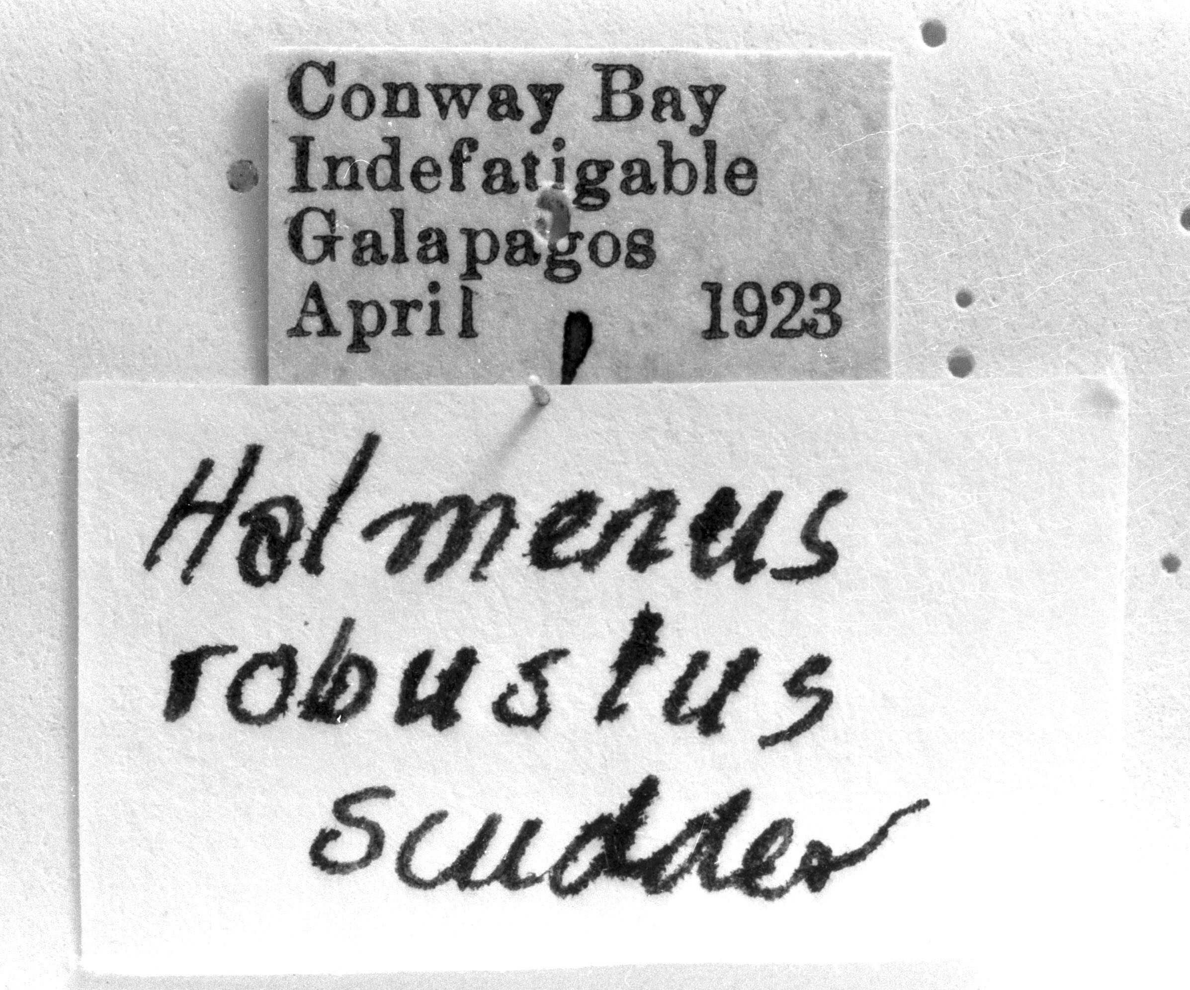 CollectionObject 1590395; 401facf8-9bc5-4f88-81d0-fecf3ab92b05: Image Carbonell, C.S. labels. (CollectionObject).