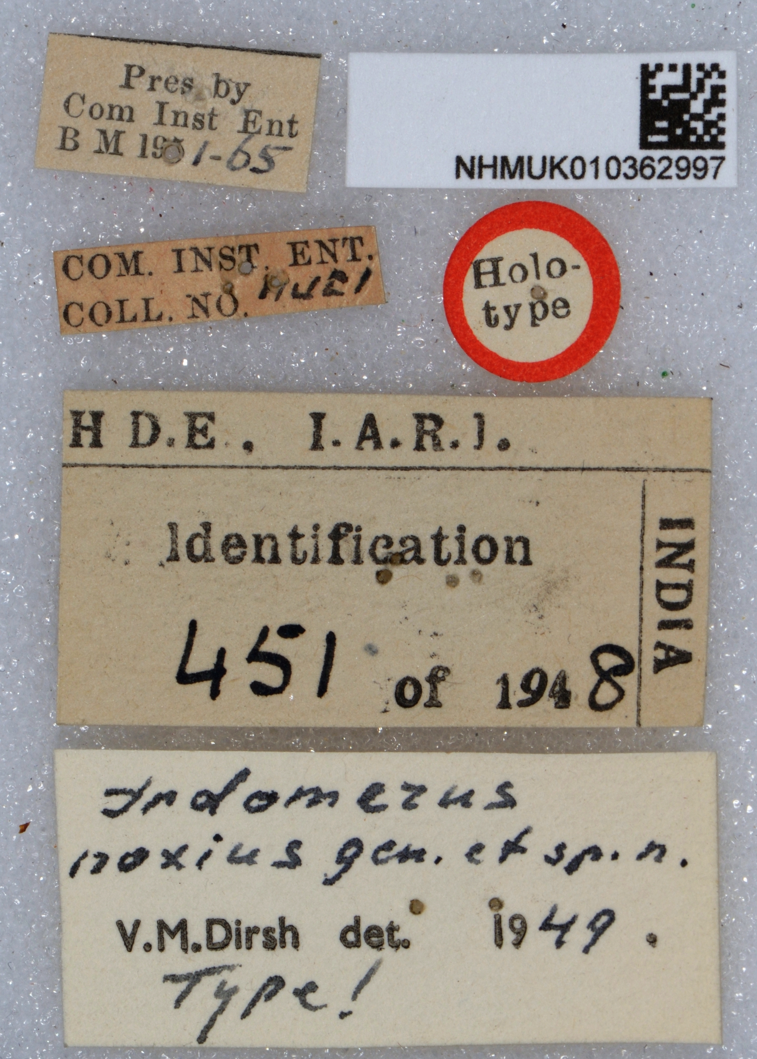 CollectionObject 1520184; ab0d1dae-5e7e-4f04-9b4e-3d5582702945: labels (holotype). (CollectionObject).