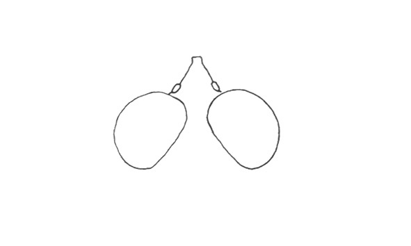 Stenopola tigris Roberts & Carbonell, 1979: Fig. 18A. male, eyes and fastigium, dorsal view. (Otu).