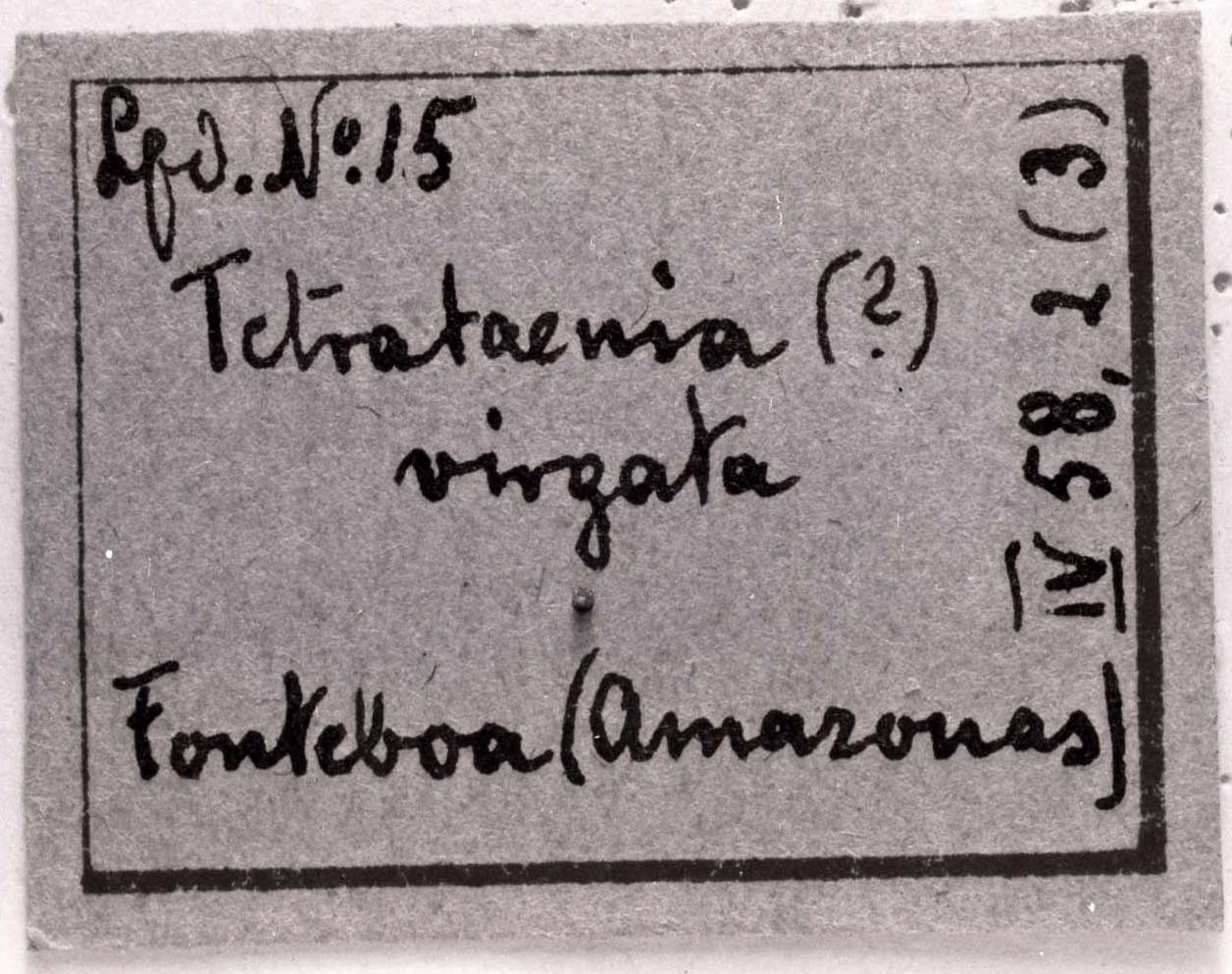 CollectionObject 1478422; 67f2c009-bbc4-4a26-99e2-55332dfaa81d: Image C.S. Carbonell. label (type). (CollectionObject).