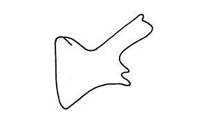 Leioscapheus guapiles Roberts, 1973: Fig. 50. male cercus. (Otu).