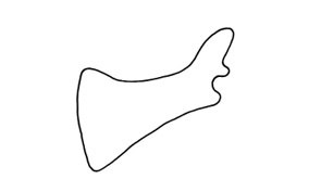 Leioscapheus mexicanus Descamps, 1976: Fig. 52. male cercus. (Otu).