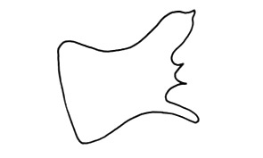 Leioscapheus variegatus Bruner, 1908: Fig. 49. male cercus. (Otu).