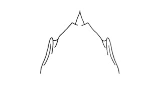 Halticacris orientalis Descamps, 1980: Fig. 52. female subgenital plate. (Otu).