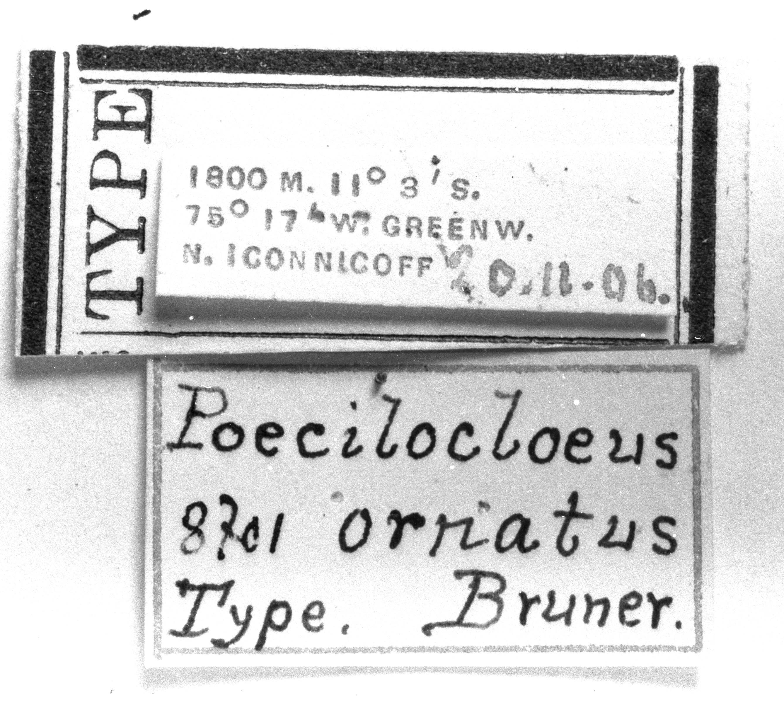 CollectionObject 1521360; defca386-8a4b-4522-95e6-31cd444ec811: Image, Carbonell, C.S. at the British Museum, 1970. labels (holotype). (CollectionObject).