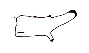 Proctolabus gracilis Bruner, 1908: Fig. 104. male cercus. (Otu).