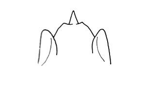 Witotacris silvai Descamps, 1980: Fig. 87. male subgenital plate. (Otu).