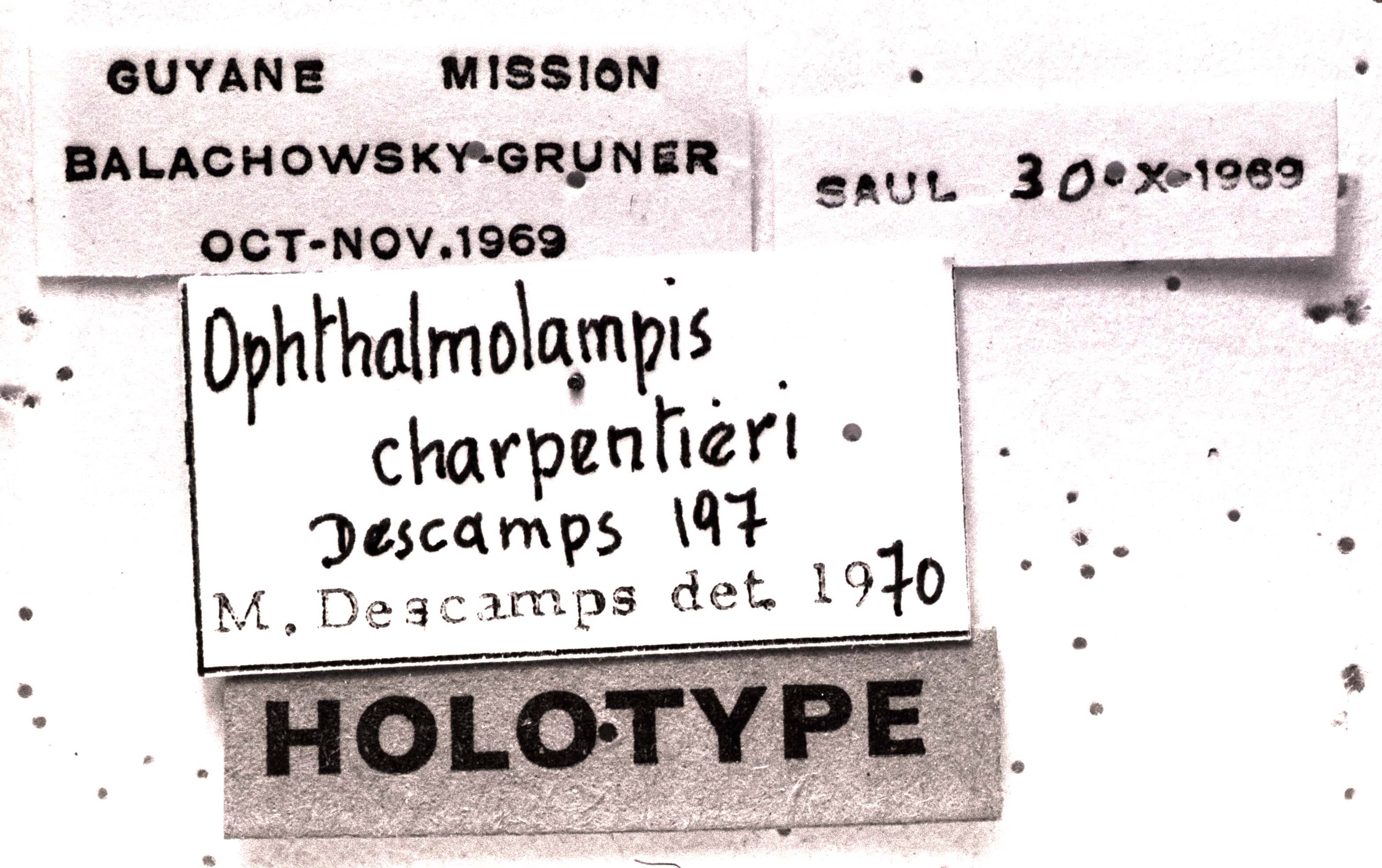 CollectionObject 1540751; 65a21653-4c2b-4b52-ae3d-392d37301eb4: Image Carbonell, C.S. labels (holotype). (CollectionObject).